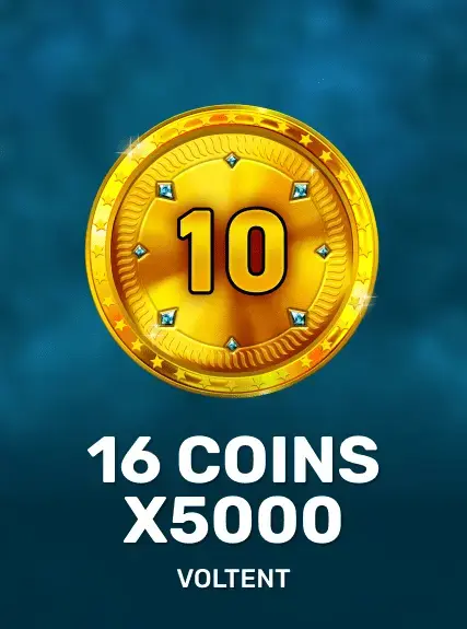 16 Coins